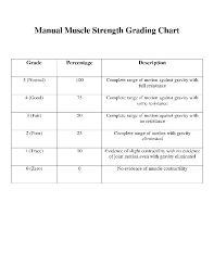 Manual Muscle Strength Grading Scale Occupational Therapy