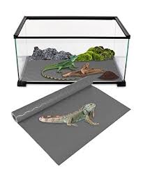 reptile terrarium liner substrate
