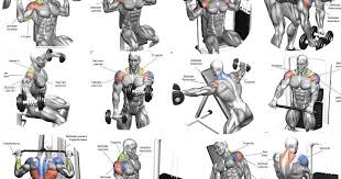 The 10 Best Shoulder Building Exercises For Bodybuilding