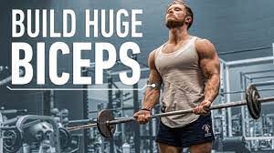 how to build huge biceps optimal
