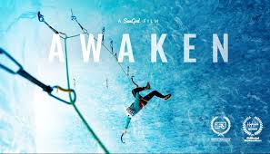 A random group of people wake up on an island where they are being hunted down in a sinister plot to harvest their organs. Awaken If3