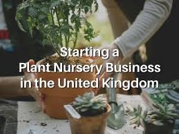 Starting A Plant Nursery Business In