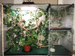 Diy chameleon reptile furniture cage that my father and i built for my office. Our Attempt At A Diy Chameleon Enclosure Chameleon Forums