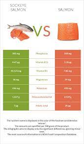 sockeye salmon vs salmon in depth