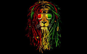 reggae lion hd wallpaper