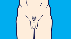Pubic Hair Styles: 10 Ways to Shave Your Pubic Hair | Gillette UK