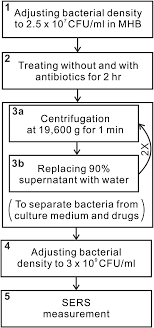procedure of antibiotic treatment mhb