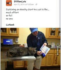 Cat Obesity Chart Funny Cats Funny Animal Pictures Funny