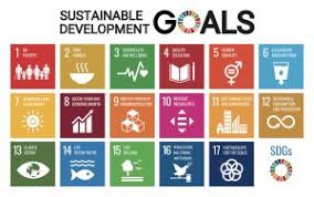 the 17 sustainable development goals a