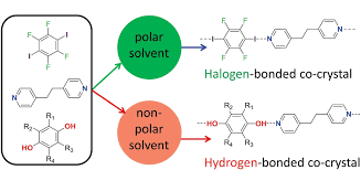 Polar Solvents Promote Halogen Bonds Over Hydrogen Ones