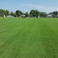 best lawn gres for alabama
