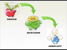What Does Hoppip Evolve To