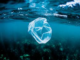 Counting The Cost Of Plastic Pollution World Finance