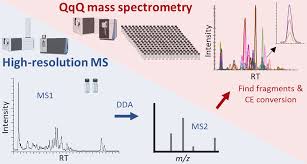 Triple Quadrupole Mass Spectrometer