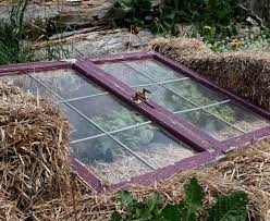Find Out Which Type Of Cold Frame Is