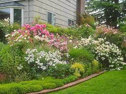 Rose Garden Ideas How To Design With