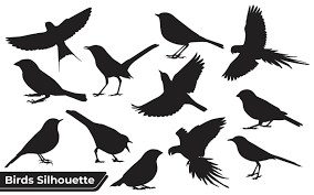 bird silhouette vector art icons and