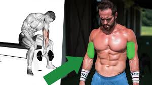 dumbbell exercises for bigger biceps