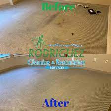 1 top carpet cleaning louisville