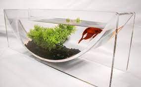 You can buy aquatic sticks to put in your tank tho 😉. Diy Betta Fish Tanks Vang Bettas