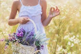 We did not find results for: Close Up Of Pretty Girl Holding Basket Of Flowers She Is Standing On Field And Touching Daisy Stock Photo Picture And Royalty Free Image Image 64883426