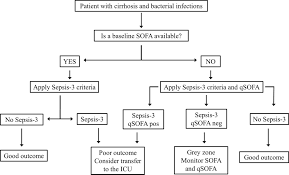 No criterion standard exists for the diagnosis of endothelial dysfunction, and patients with sepsis may not initially clinicians often use the terms sepsis, severe sepsis, and septic shock without following. Assessment Of Sepsis 3 Criteria And Quick Sofa In Patients With Cirrhosis And Bacterial Infections Gut