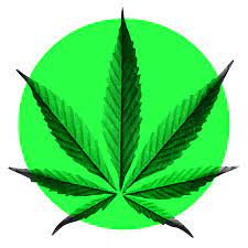 Bhang, cannabis, doobie, dope, ganja, grass, hash, hashish, marihuana, mary jane, pot, weed русские: Marihuana Mars Home Facebook