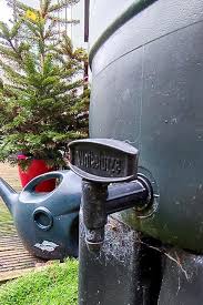 Is Rain Barrel Water Safe To Use On My