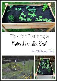 Tips For Planting A Raised Garden Bed