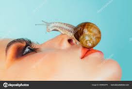 cute snail skin care mage snail