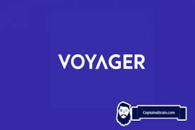 Voyager has an available supply of 284 524 680 and a total supply of 350 000 000 coins alongside with $19.0k market cap and a $0.1 24h trading. Voyager Crypto Review 2021 Is Voyager Safe Legit Captainaltcoin