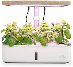 simbr hydroponic growing system indoor