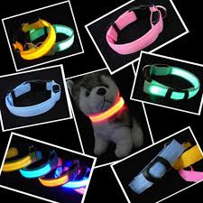 Nylon Led Light Safety Collar For Pets The Wow Deal