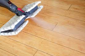 hardwood floor steam cleaner large