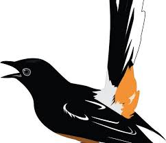 Pakan merupakan salah satu faktor penunjang kualitas suara burung murai batu. 16 Baru Logo Murai Batu