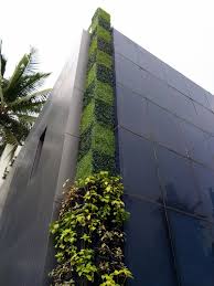 Living Green Walls India Should Look