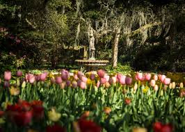 airlie gardens wilmington nc