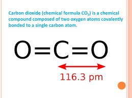 carbon dioxide powerpoint presentation