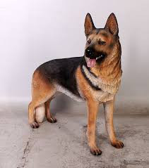 German Shepherd Dog Jr 110104 The