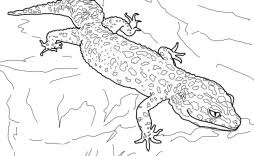 Gecko coloring pages are a fun way for kids of all ages to develop creativity, focus, motor skills and color recognition. 48ahx2tksshhqm
