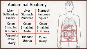 abdominal pain causes by location