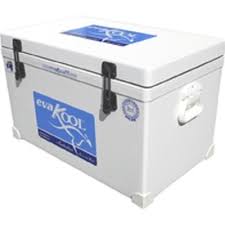 icebox coolers eskys exploroz articles