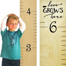 Growth Chart Art Hanging Wooden Ruler Height Growth Chart To
