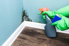 how to get rid of mold safely