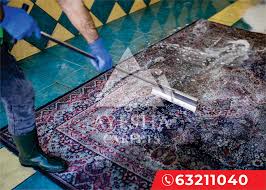 hire the best carpet cleaners