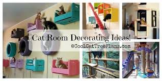 cat room ideas every crazy cat lady