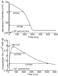 Biomarkers Calculated From Ap And Cat