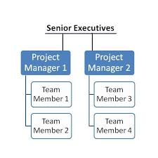 Optimized Project Management Environments Organizational