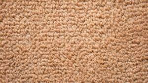 berber carpet pros and cons 2024