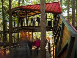 tree canopy walk at whiting forest of